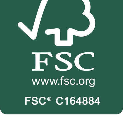 Festool FIS-CT 17/5 Filtersack ( 769136 ) für CT 17 E, VCP 170 E, VCP 171 E-L