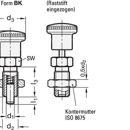 Pistone di indicizzazione GANTER GN 817 d1 10 mm d2 M 16 x 1,5 mm l1 12 mm ( 4601001396 )