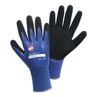 LEIPOLD+DÖHLE Handschuhe Nitril Aqua Größe 10 blau/schwarz ( 4000371535 )