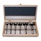FISCH-TOOLS Juego de puntas tipo 0317 6 piezas ( 4000863448 )