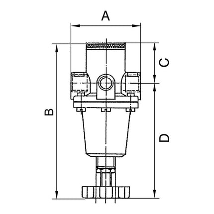 Regolatore di pressione RIEGLER filettatura standard mm 19,17 ( 4588880452 )