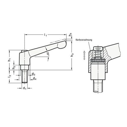 GANTER Verstellbarer Klemmhebel GN 300 d1 M 12 mm ( 4601000615 )