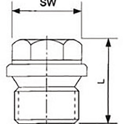 Springer Verschlussschraube DIN 910 ISO 228-1 ( 4000000269 ) NPS=1/2 ″ L 26 mm