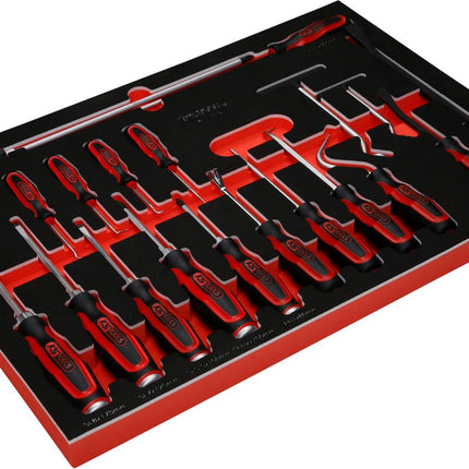 KS TOOLS Juego de destornilladores y ganchos en inserto de gomaespuma, 19 pzs ( 811.1019 )