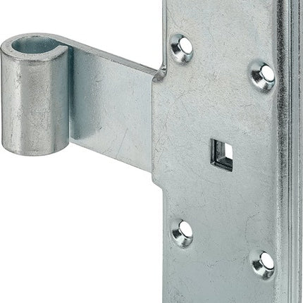 Cinghia trasversale VORMANN larghezza 55 mm lunghezza 160 x 55 mm ( 3000272397 )