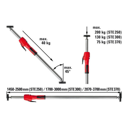 Soporte de montaje BESSEY STE250 hasta 160 kg ( 4000831627 )