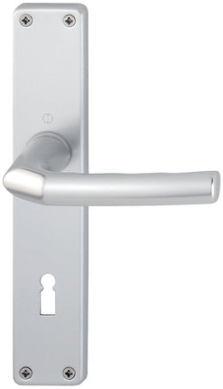 HOPPE long plate set Birmingham 1117/202SP Aluminium F1 ( 3000252985 )