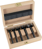 FAMAG Set di punte Forstner Bormax 1622 5 pezzi ( 4000863751 )