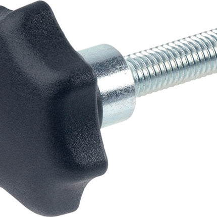 GANTER Sterngriff GN 6336.4 Sterngriffschraube ( 4601000899 )