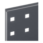 RASTERPLAN Lochplatte B450xL500mm ( 9000428174 )