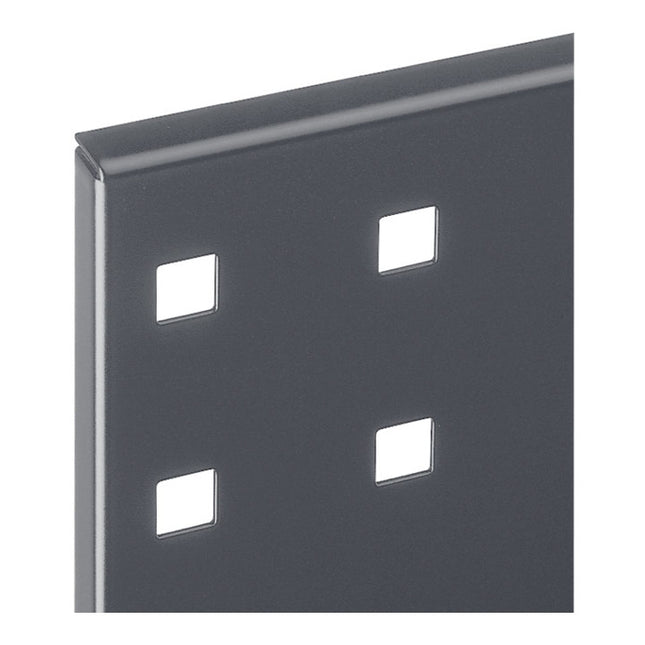 RASTERPLAN Panneau perforé  l450xL500mm ( 9000428174 )