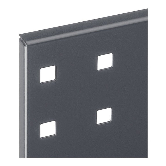 RASTERPLAN perforated panel W450xL1000mm ( 9000428175 )