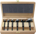 FISCH-TOOLS Forstnerbohrersatz Type 0317 5-teilig ( 4000863447 )